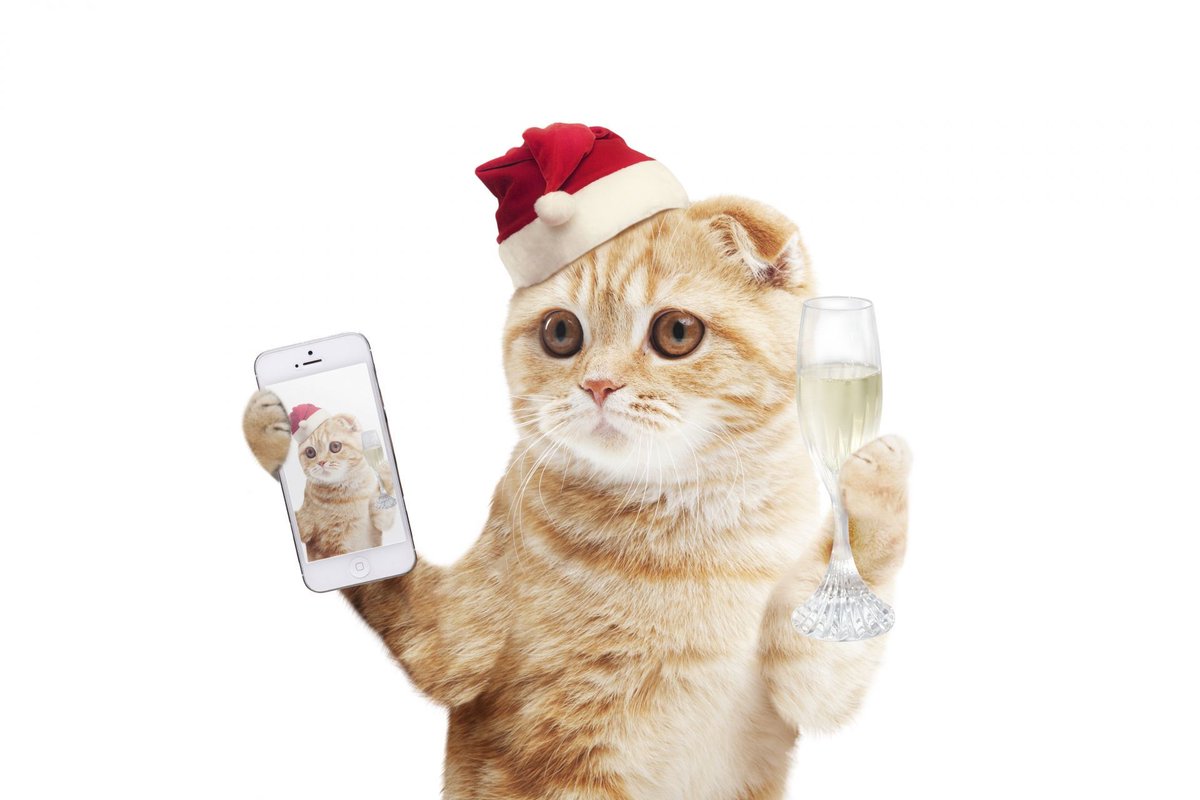 kdan_global's tweet photo. It's the end of the year again. These are the 8 strategies we used to kick some serious butt in 2017! https://t.co/uOqGPlaqmc

#YearInReview2017 #LifeAtKdan https://t.co/PmUr5OTERE