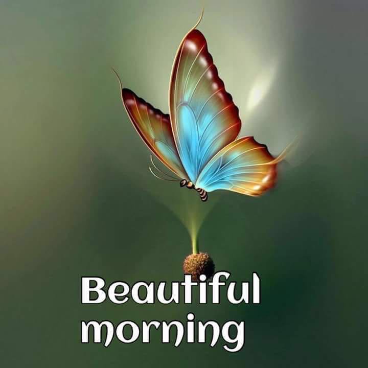 nitishsinghiti's tweet photo. https://t.co/qhXFI5qHa4