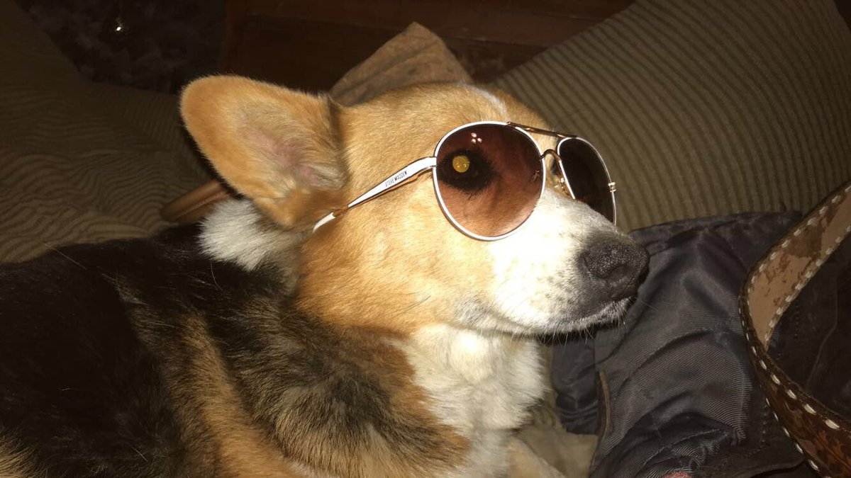 cs164471's tweet photo. boys be like “pimpin ain’t easy” https://t.co/8HidSVDnPv