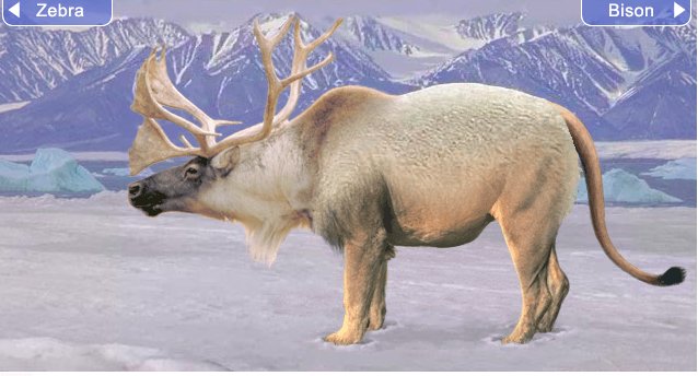 SjamesGrant's tweet photo. Day 30: Design Your Animal.  Elusive creature found in the Arctic https://t.co/MGI3q8xSrs
