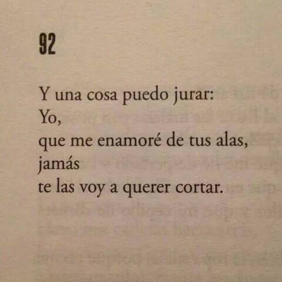 ValeGebhart's tweet photo. ✨ https://t.co/dfbE9dEQpy