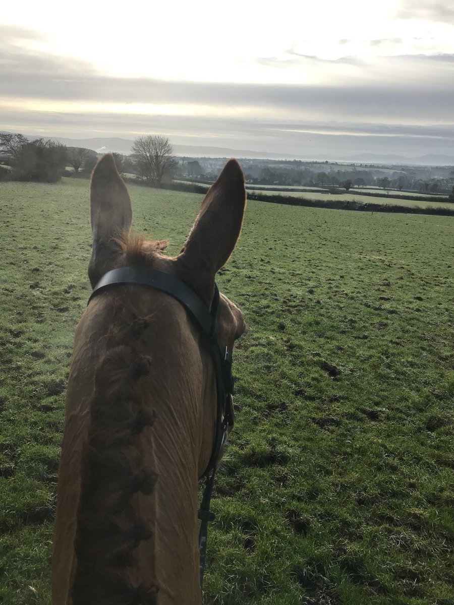 kim__ronan's tweet photo. The only view I’m interested in is between his ears ❤️ #eddietheeagle #mybae #bestbae https://t.co/pHtnMZTHYW