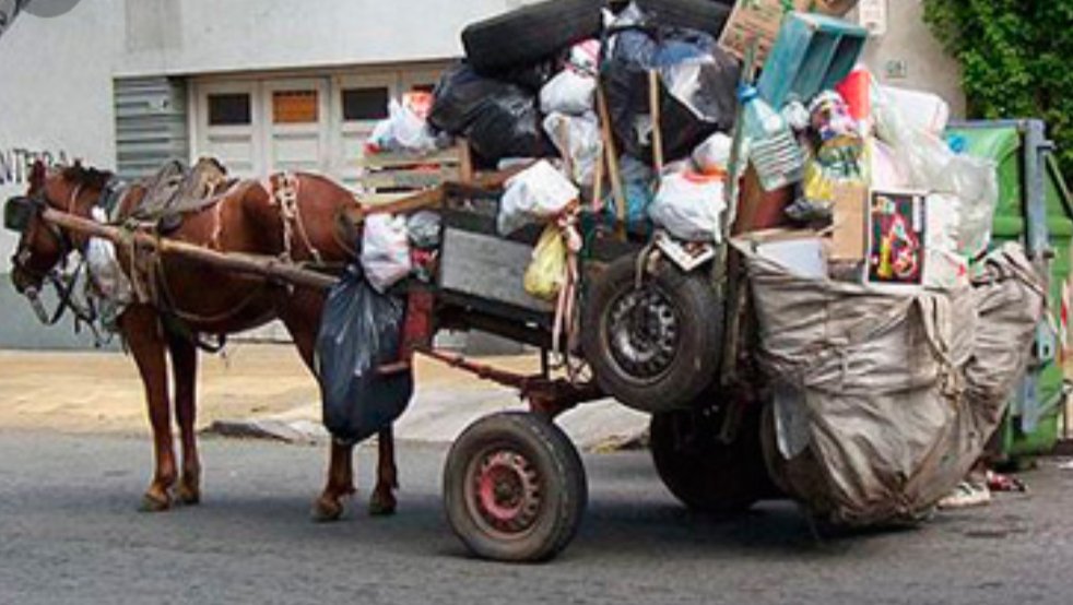 gascossia's tweet photo. #LeyNoMasTas  Intendencia de Montevideo anuncia el cambio de 5 carros por motocarros y  adopción de los caballos.  7 meses de anuncios y 27 años de Gobierno: Frente Amplio.
En 40 años terminamos con la Tracción a Sangre?  El único camino es una Ley Nacional YA!! #LeyNoMasTas https://t.co/QZFJ69bIZl