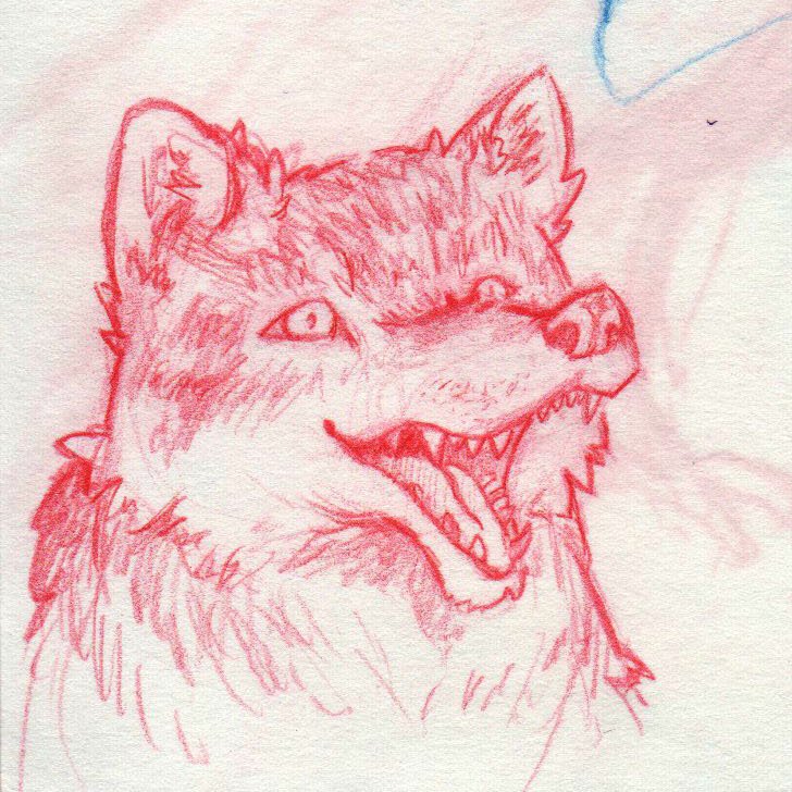 kaydakay_art's tweet photo. Wolfy wolf is a wolf 🐺
Back home so "quality" photos again! I kinda like him. Don't know why exactly 😶 #sketch #sketchdump #sketchbook #wolf #europeanwolf #coloredpencils #noticemyart @TheArtBond @dibujando @ApoyaAlArtista https://t.co/S3ANuwAGQj