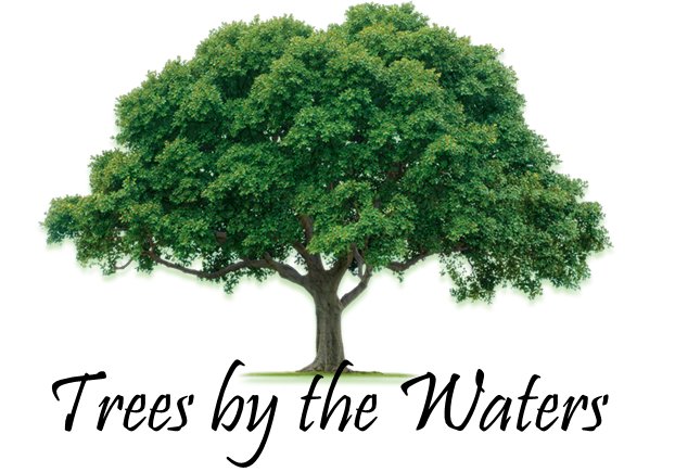TreesbyWaters's tweet photo. The Blessing of Obedience · Trees By The Waters https://t.co/HazSOgTWAI https://t.co/MAVNtln4CM