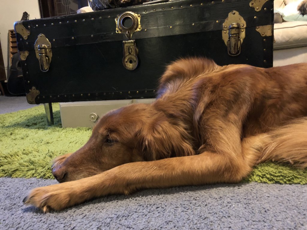 candrasquire's tweet image. Anchors candrasquire.com/2017/12/10/anc…