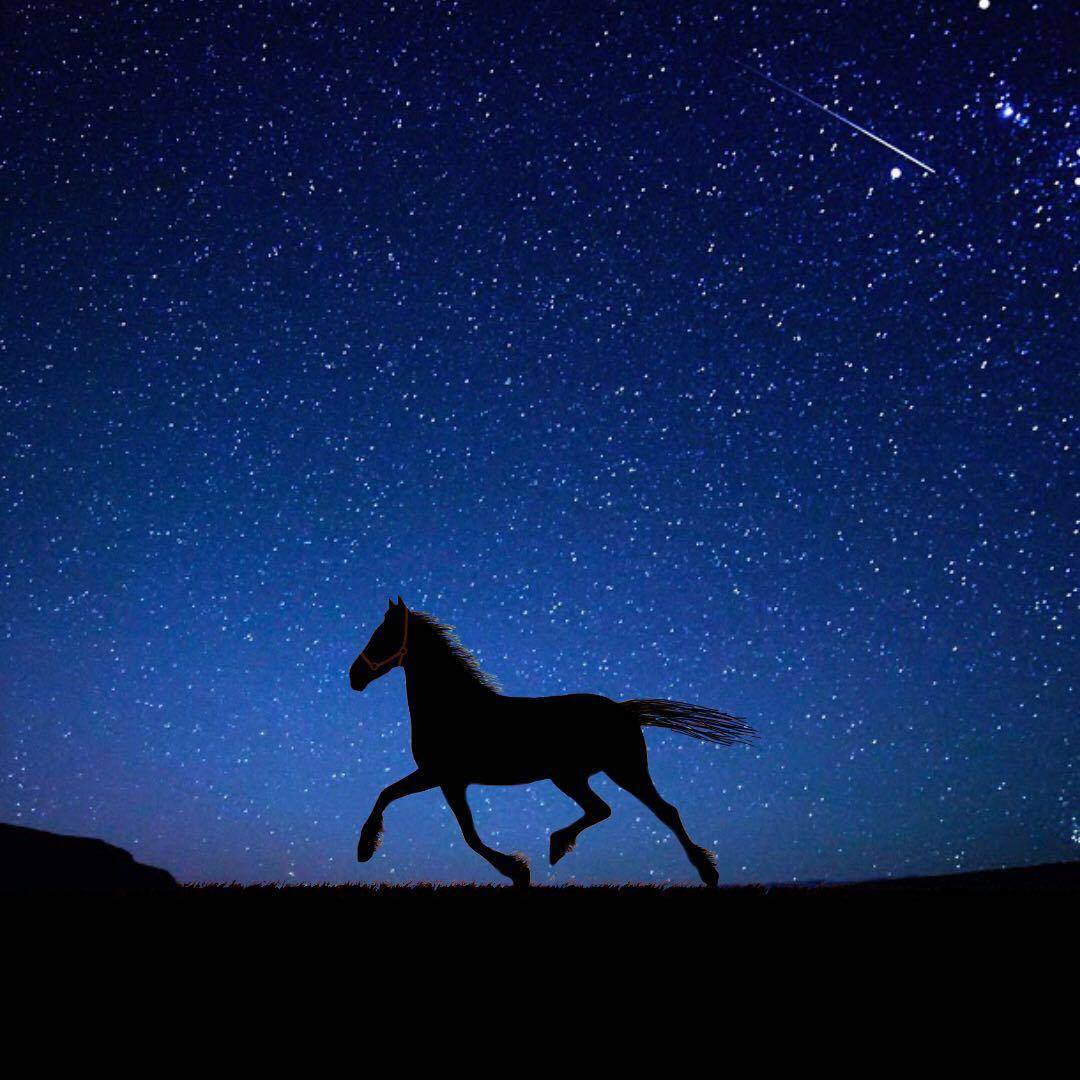 fotor_com's tweet photo. Day or night?

You can have both with with Fotor's magic clipper!

#MagicClipper #Fotor #Dayandnight https://t.co/kiiWbsNg8y