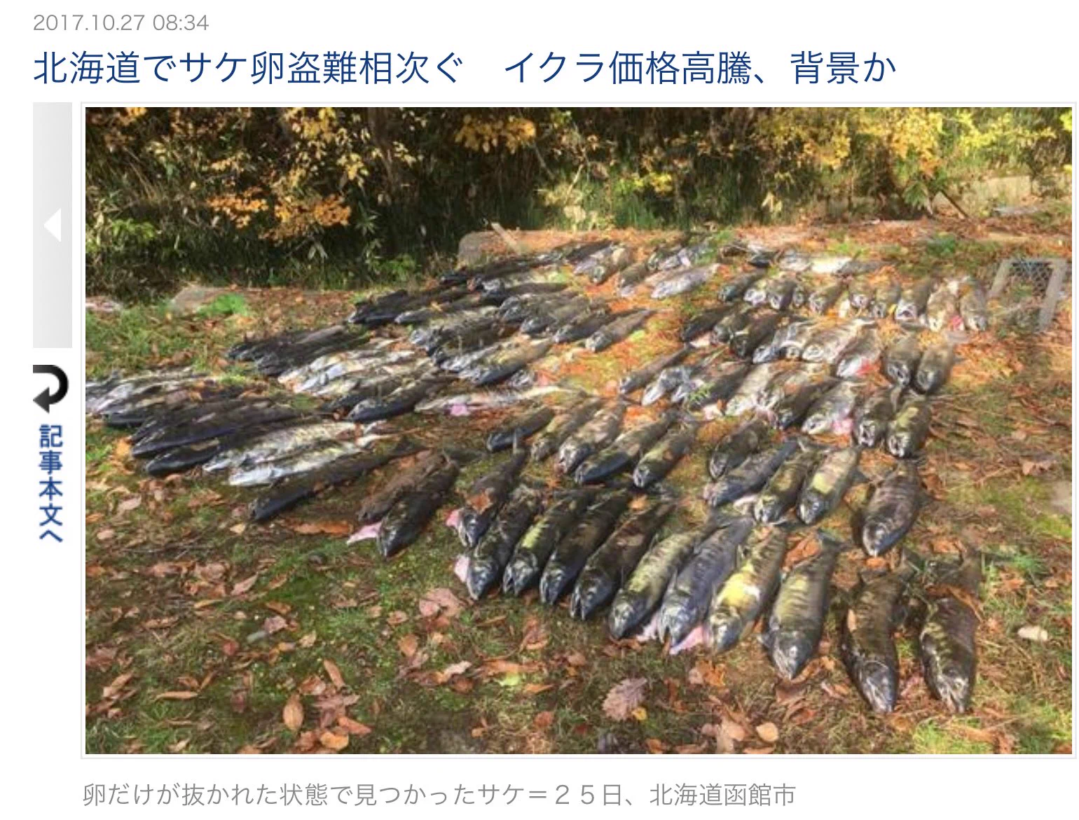 メルカリで出どころのわからないイクラに注意！盗まれたものかも？