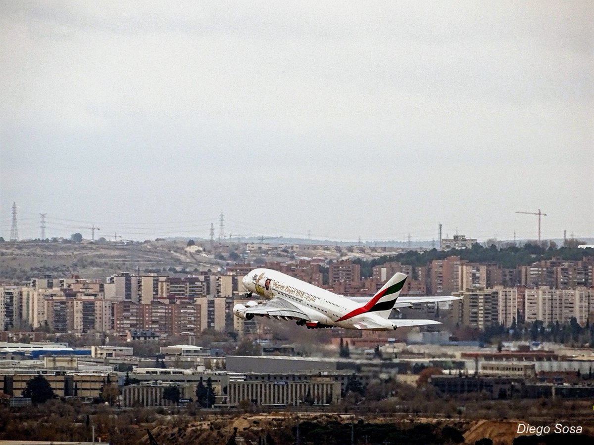 DIEGO SOSA tweet media