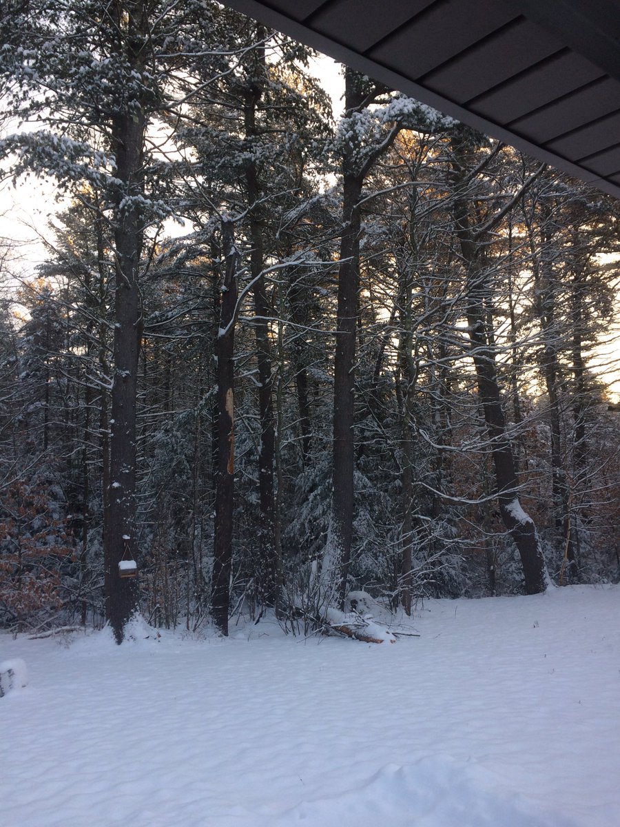 HollyMiller811's tweet photo. I love looking out my window at the snow! It's so pretty! https://t.co/WwdfFe4JRJ