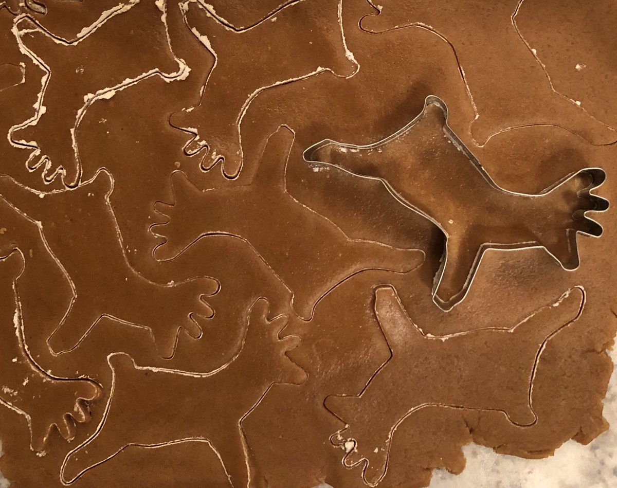 aggiejournalist's tweet photo. This reindeer cutter does not tile the plane. Is there a market for tessellating cookie cutters? 🤔 #CookieMath #CookingWithEngineers https://t.co/CuHgR0gsVV