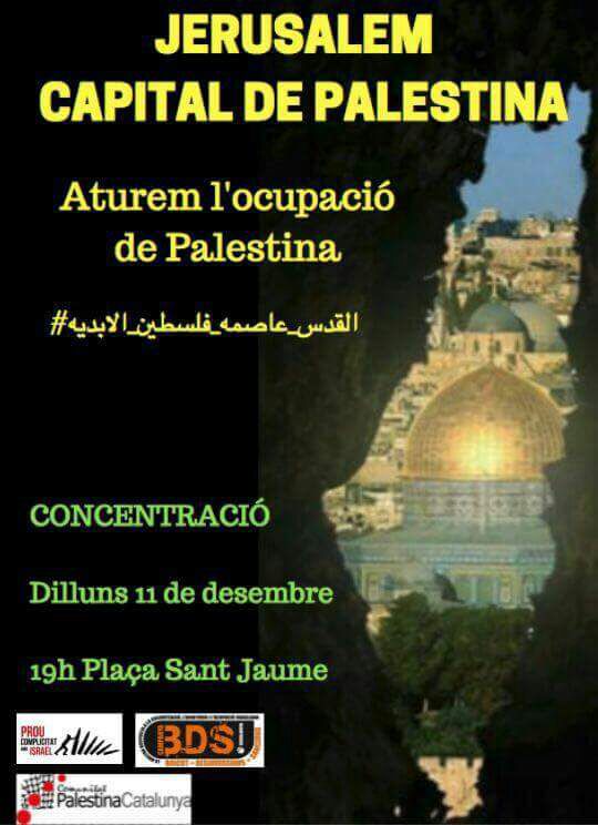 medahsissene's tweet photo. لا تبخلوا على القدس الشريف بوقتكم و جهدكم
@euroarabcentre @proucomplicitat @Palestina_cat @novact__ #PalestinaResiste #jerusalencapitaldepalestina https://t.co/FAEOBWmWZ7