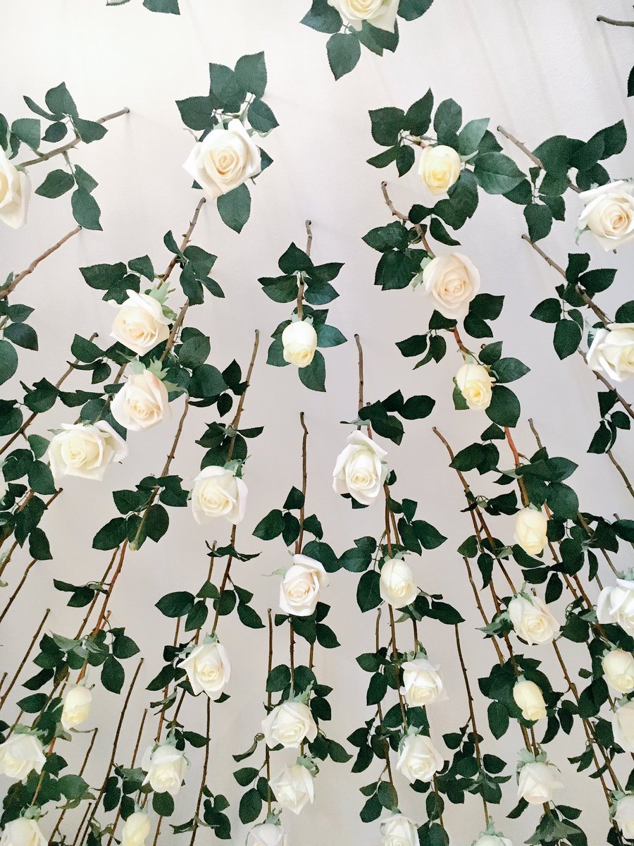 CaoilfhionnRose's tweet photo. How beautiful is the ceiling in our hotel in #Vienna? 😍 #travel #houseoftime #austria #teamcoco https://t.co/bMKqn9dULH