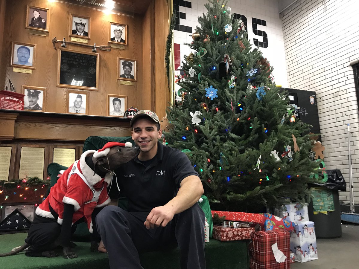 xolohairlessdog's tweet photo. Thank you for inviting me to your Christmas party yesterday #FDNY #Ladder118 #Engine205. You are the nicest people. My humans are so glad to be your neighbor for more than 20 years. What an honor. #brave #firefighters #heroes #neverforget #brooklynheights @xolohairlessdog #xolo https://t.co/zfbd1u0zms
