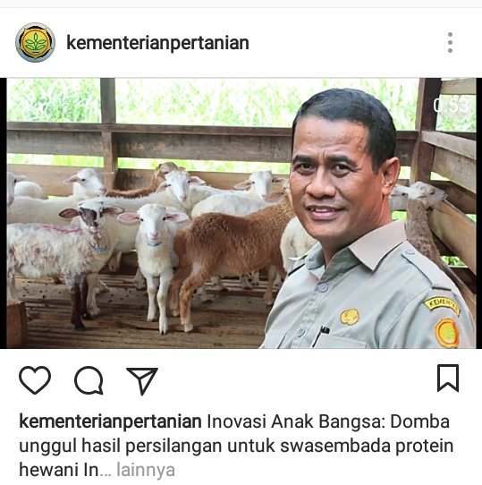 Swasembada protein untuk indonesia <a href="/jokowi/">Joko Widodo</a> <a href="/kementan/">Kementerian Pertanian RI</a> <a href="/ditjen_pkh/">Ditjen Peternakan dan Keswan</a> <a href="/fadjroeL/">Dr. M. Fadjroel Rachman</a> @gapuspindo  <a href="/HpdkiLampung/">DPD HPDKI Lampung</a> #hpdki