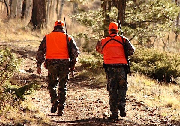 FarmDirectory's tweet image. When the Spoils of the Hunt Taint the Meat Industry [REPOST] 
buff.ly/2AV8Rxd