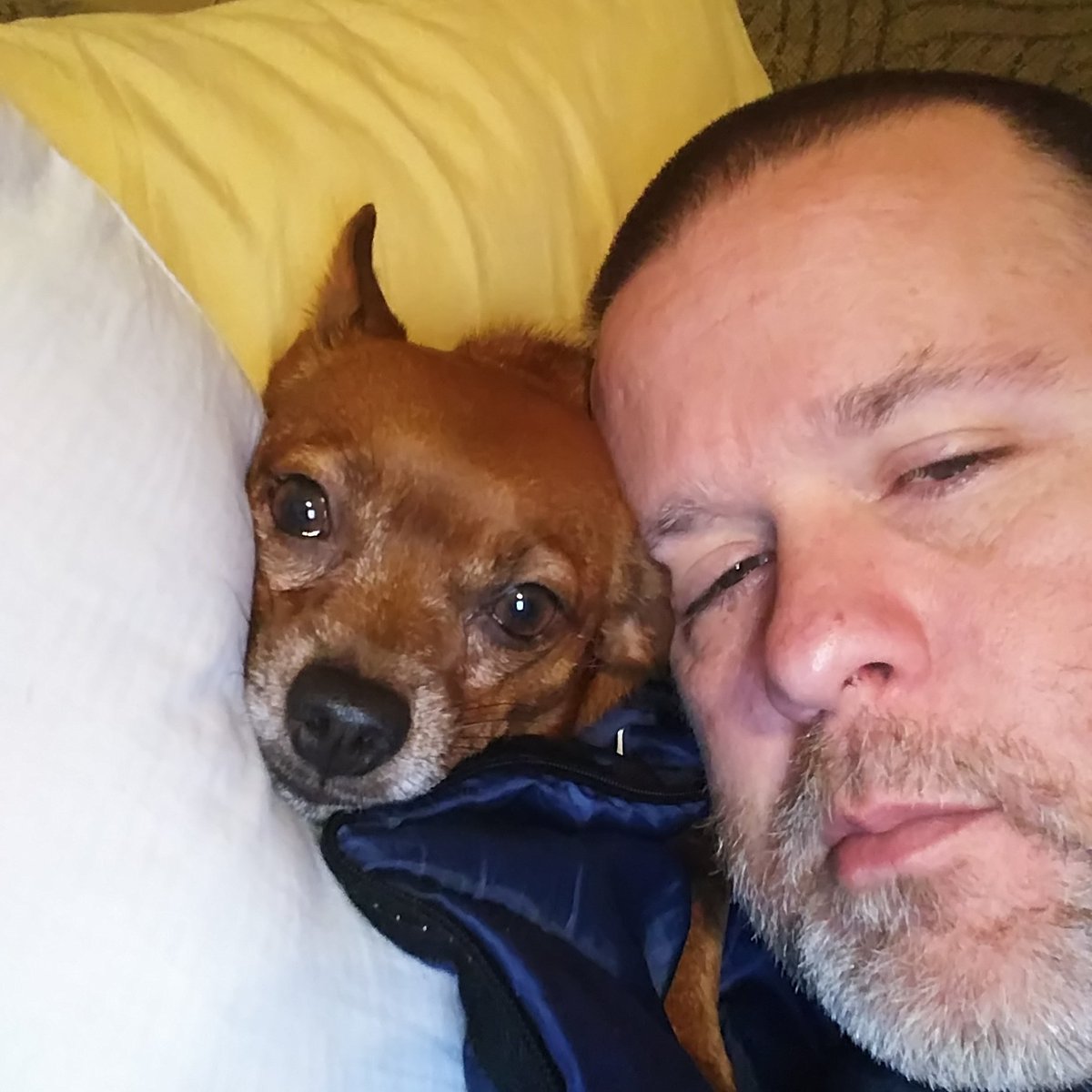 Its good to have your #bff with you when you have the #flu. #BestFiends