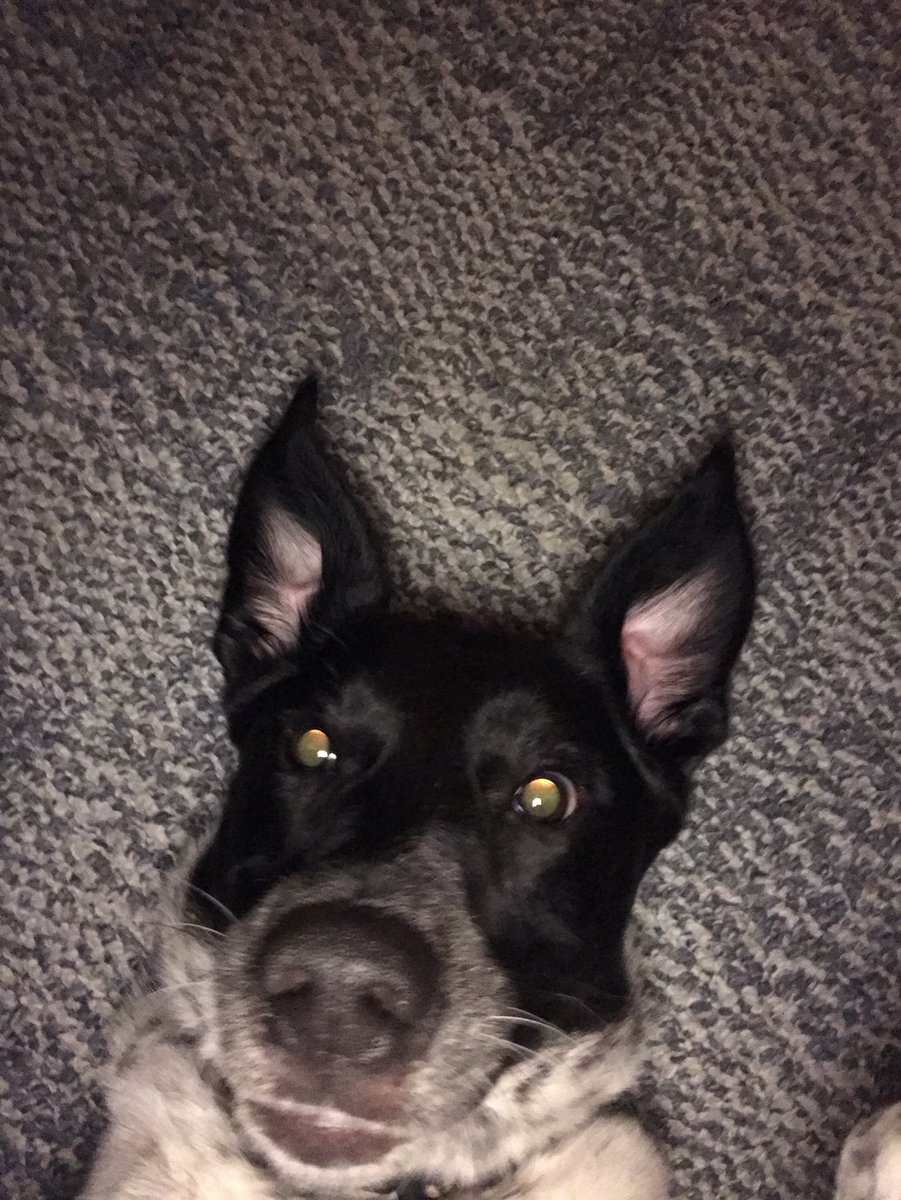 Jessie Wade tweet media