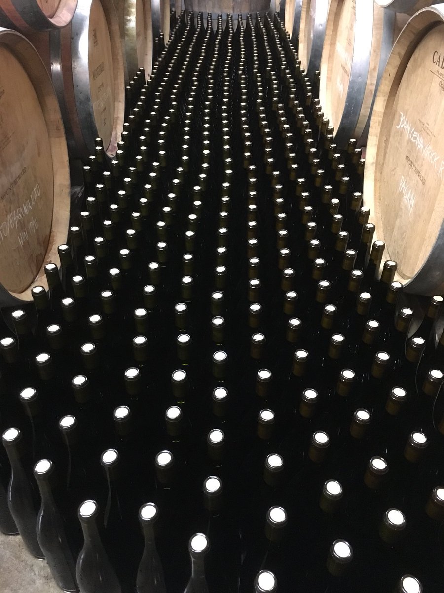 duncan forsyth tweet media