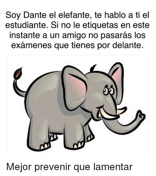 abruupaterno's tweet photo. Mañana se empieza a rendir. A puro huevo muchachos https://t.co/DkBEG4aGDi