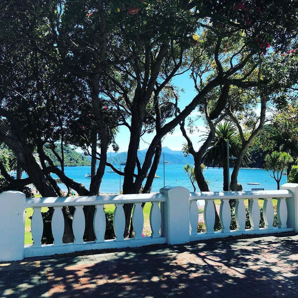 Picture Perfect Picton Pohutakawa! Stay cool everyone, it’s hot out there 😎 ift.tt/2AJ9YOd