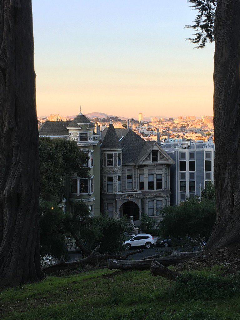 LunaticSX's tweet photo. When you're in San Francisco... you always know you're in San Francisco. #walkingSF https://t.co/0WpIZjgZyy