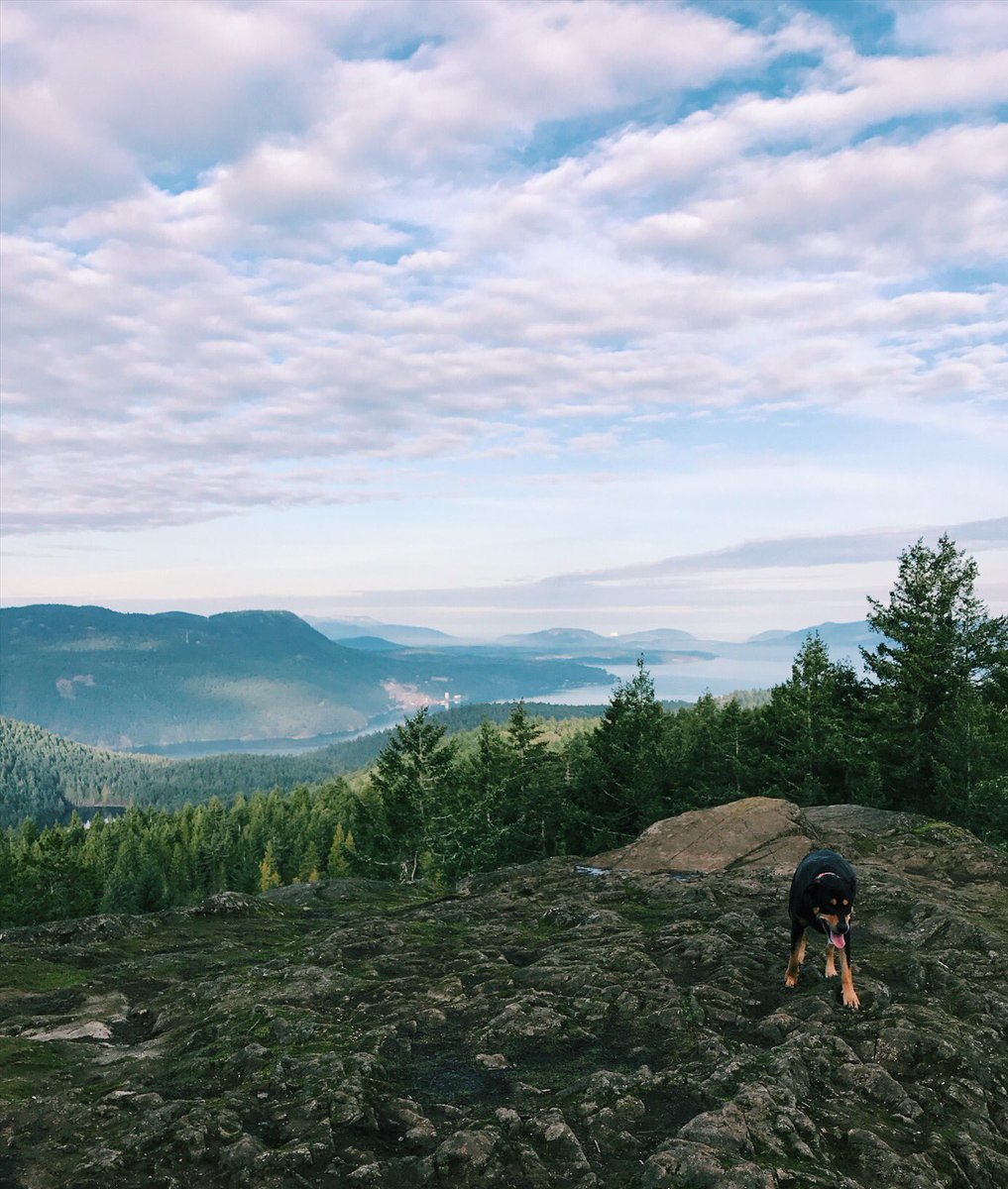 The great outdoors 🌲🐕