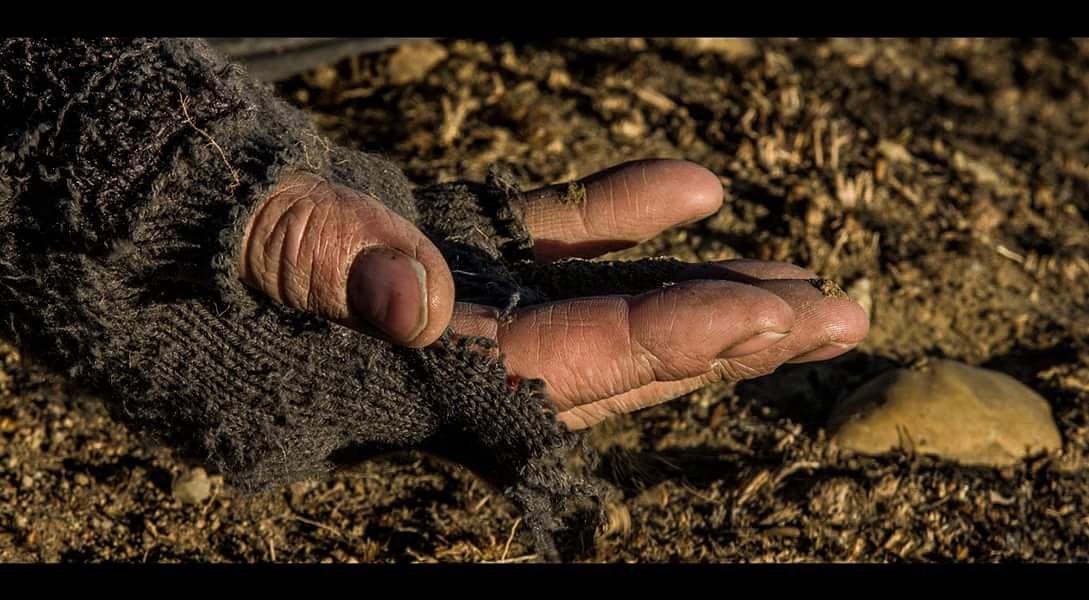 TYFilmsInc's tweet image. "Father of Nations" a post-apocalyptic drama follows the last few people as they journey to the ends of the earth. 
As the characters struggle to survive in a decaying world, they explore the sanctity of life, and timeless questions about meaning, faith and hope.
 #albertafilm