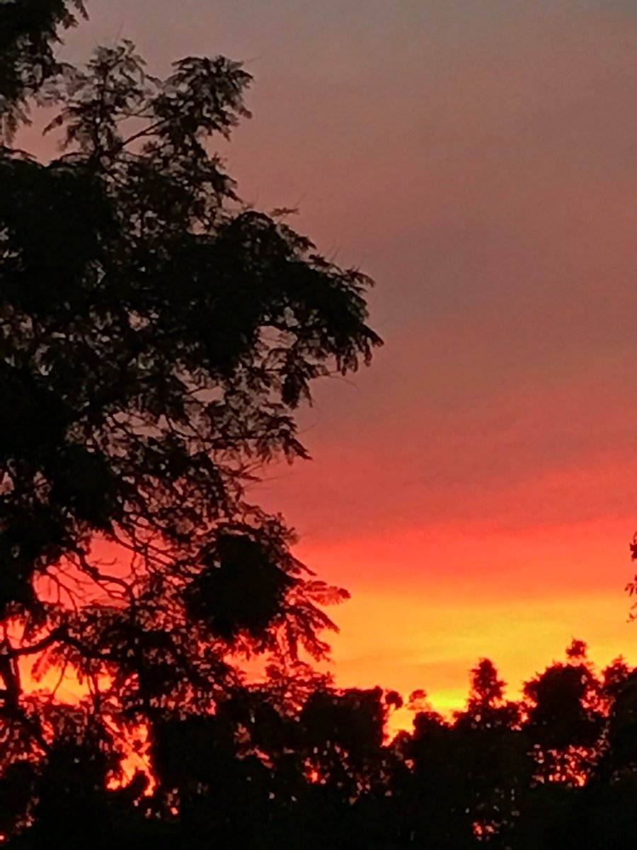 Red sky at night sailors delight peace and love peace and love. 😎✌️🌟💖🎶🍒🐘🎵🐕🌺☯️🦏