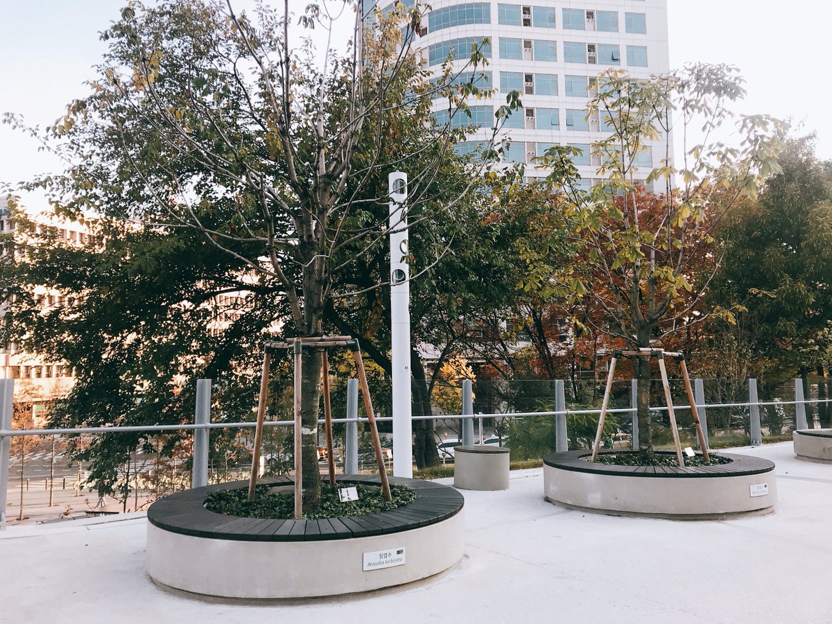 최강 한파가 시작되었지만 서울로에는 훈훈함이 가득!
갓세븐 영재의 반려나무를 찾아보세요! 
#갓세븐 #GOT7 #영재 #영재나무 #영재편 #반려나무 #스타반려나무 #트리플래닛 #TREEPLANET