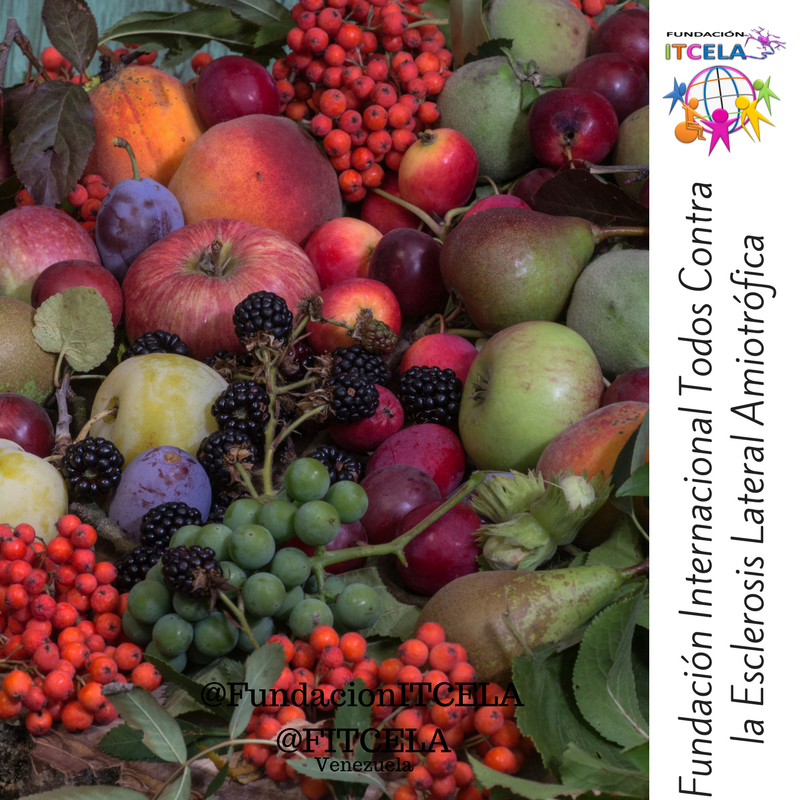 FItcela's tweet photo. La nutrición es otro de los elementos importantes en el Cuidado para Pacientes con#ELAVenezuela #ELA #FundacionICTELA #Venezuela ELA. https://t.co/1yn2DjASlz