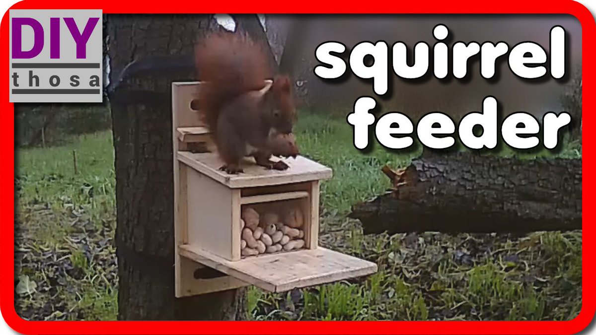 Thosa On Twitter Homemade Squirrel Feeder Https T Co