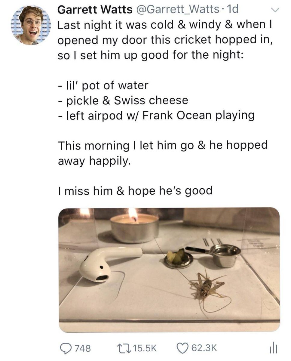 Téléchargement gratuit Images Wholesomememes On Twitter Wholesomememe Memes actualisé par