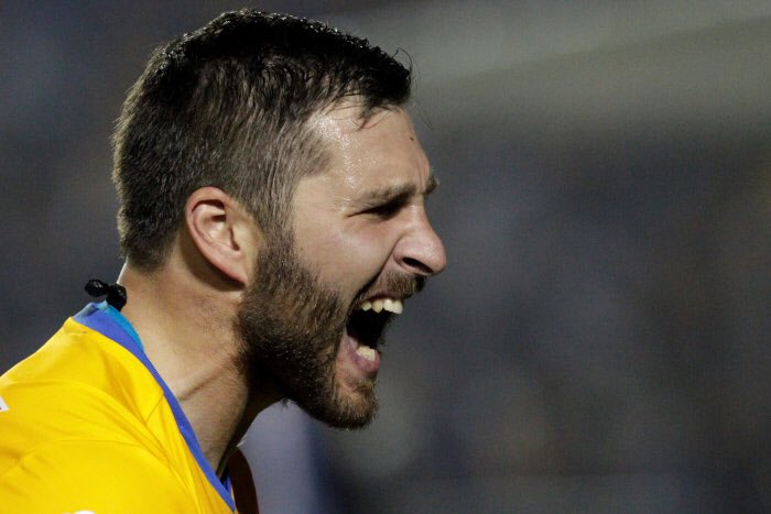 Ligue1_ESP's tweet photo. ¡Nuestro embajador @10APG vuelve a salir campeón! 🇲🇽🇫🇷

Felicidades, @TigresOficial 🐯. #FinalRegia https://t.co/ZVv30saMEb
