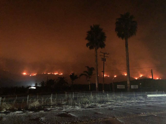 View image on Twitter