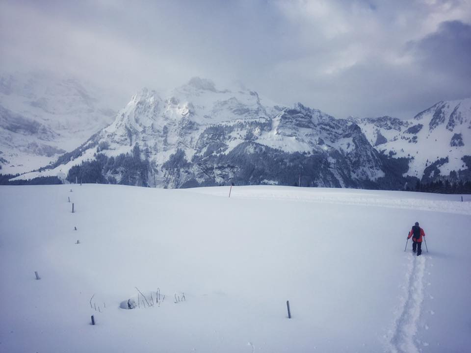 peakdate tweet picture