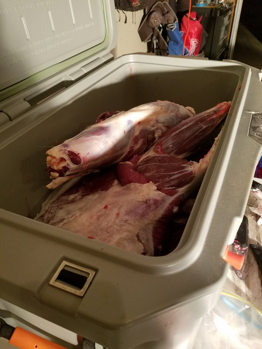 2017 meat in the freezer. Back to the bow and horn hunting!