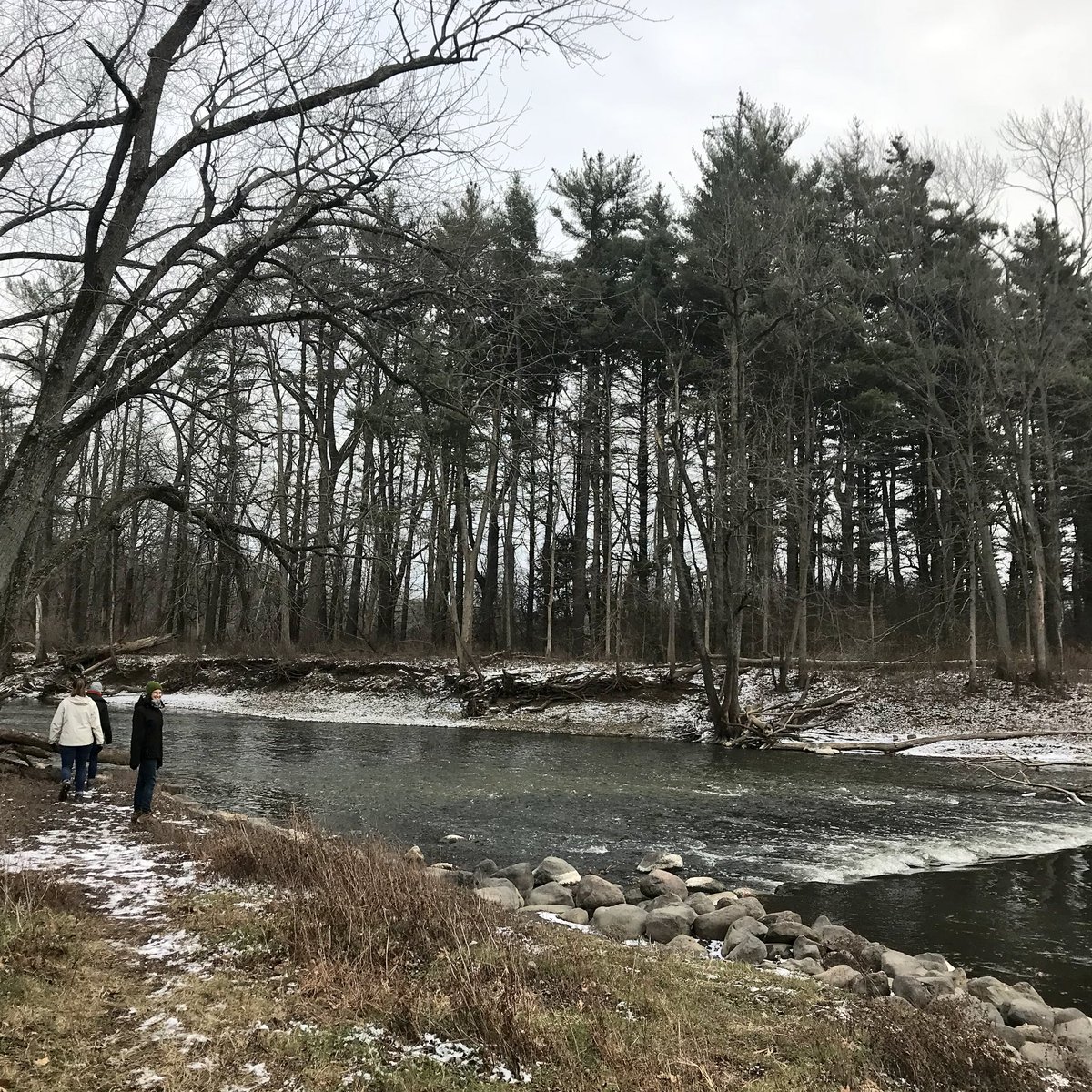 .@RyersonWoods is by far one of the most beautiful parks in the greater Chicago area. It wasn’t just the cold that made for a near-solo hike. But also the winding trails and impressive acreage. #chicagoparks #hikechicago