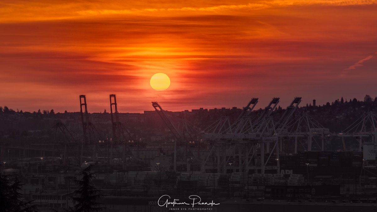 InnerEye Photography tweet media