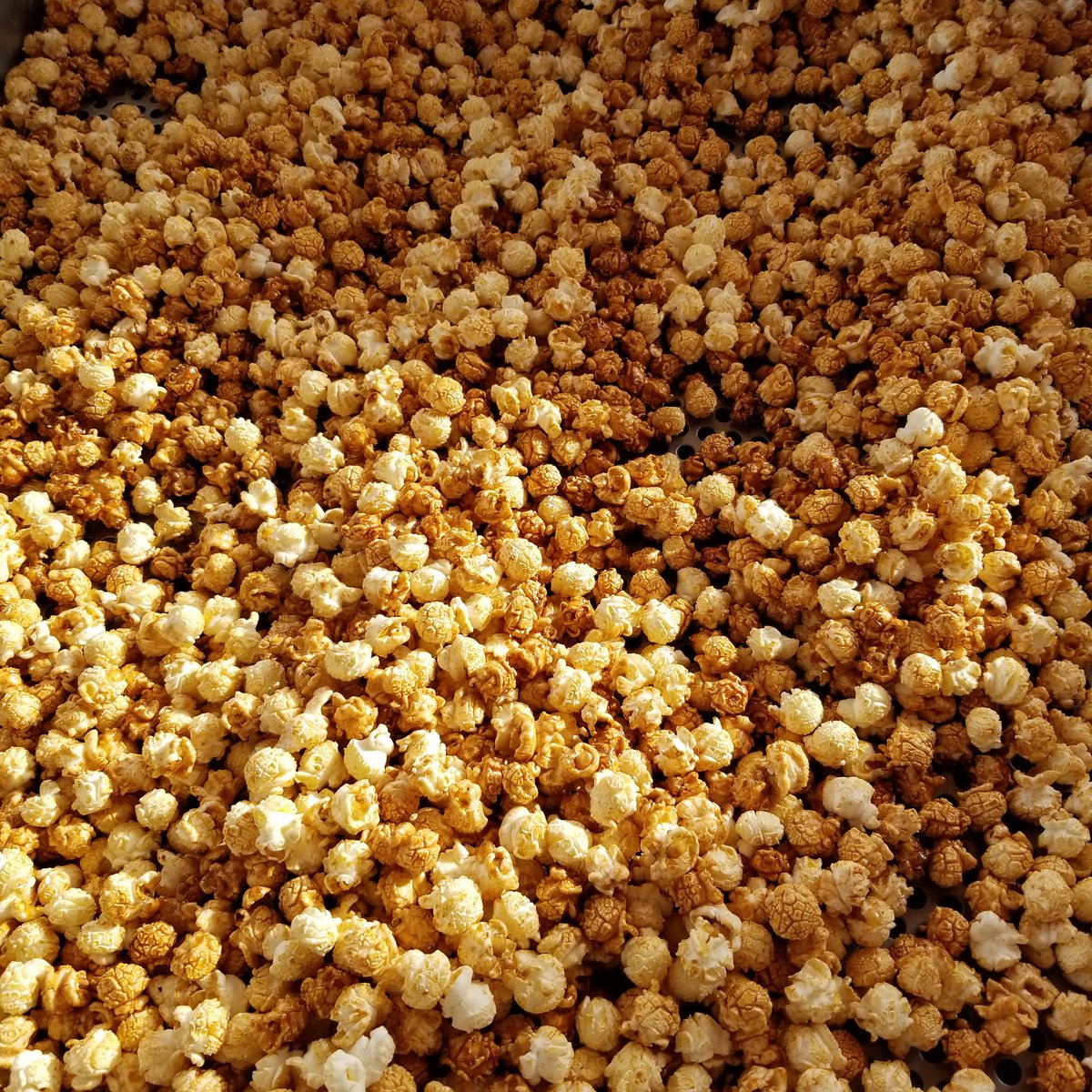 copper_corn's tweet image. Caramel corn
