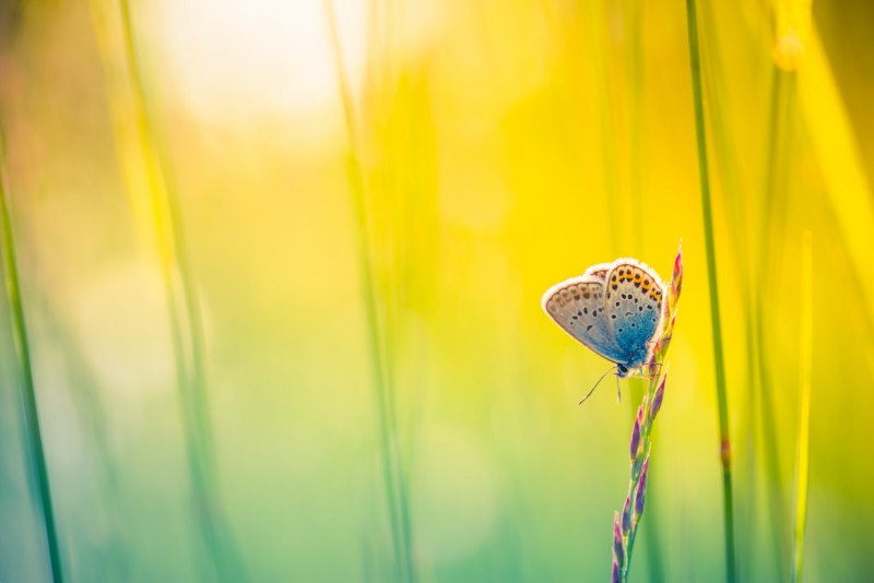 AndoerOfficial's tweet photo. The Top 15 Photos on Flickr in 2017
#flickr #Andoer #photography https://t.co/EDKNM1PalN