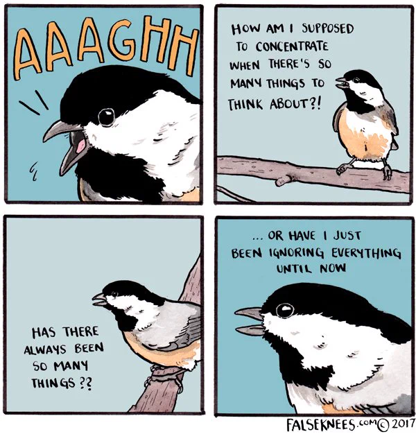 Sam just found out about cashews

https://t.co/E5WeKEIGY7 #falseknees #chickadee #comic #webcomic #aaaghh 