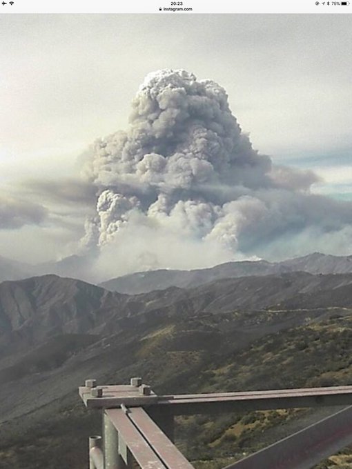 View image on Twitter