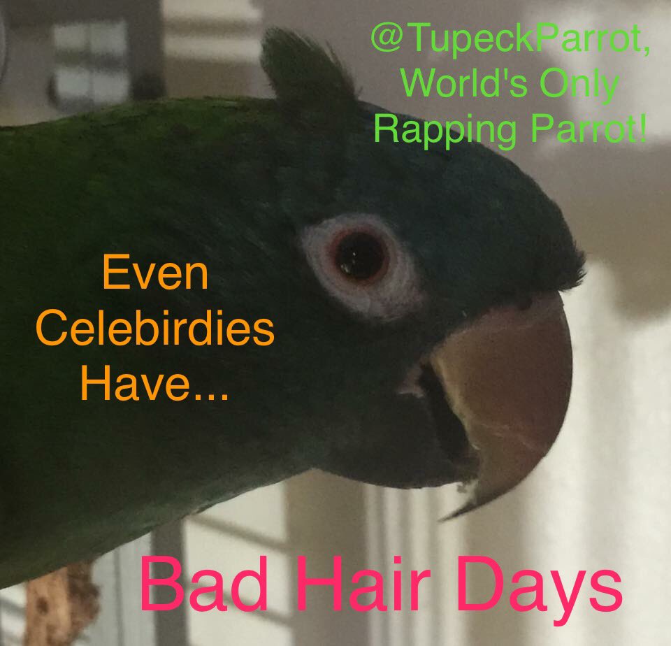 TupeckParrot's tweet photo. I refuse to go on stage like this Momager! 😤 #StylistNeeded https://t.co/YLzmcti3mu
