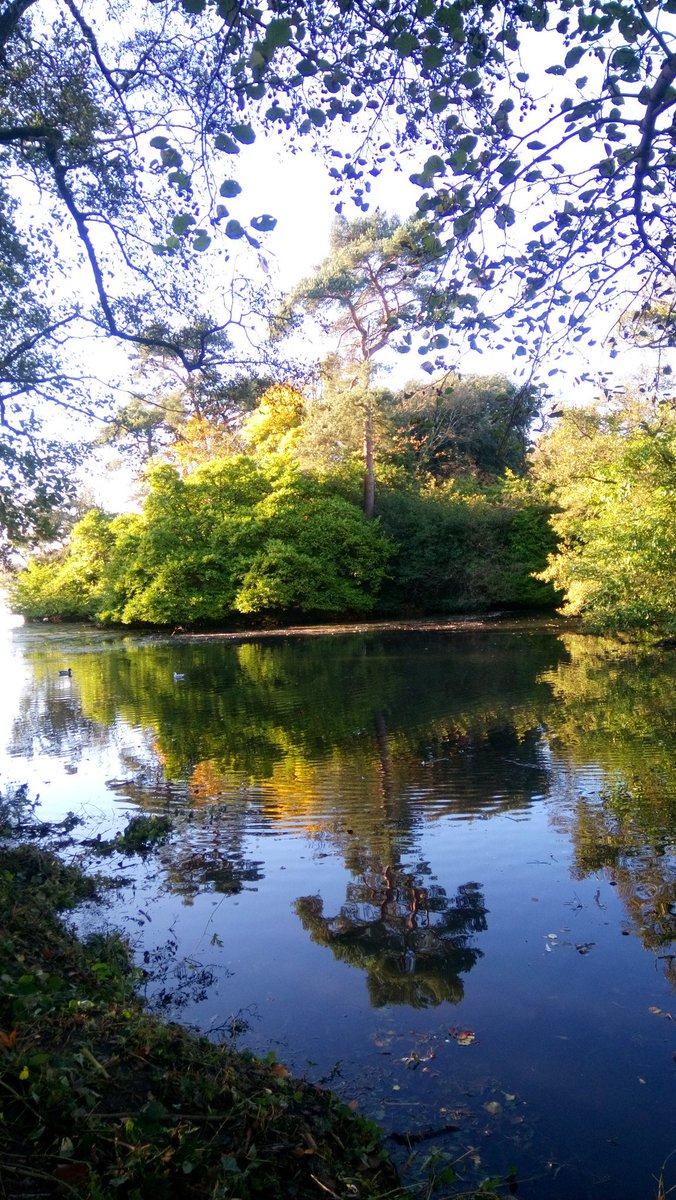 VWC_Writes's tweet photo. If this be a temporary oasis
of beauty,

then drink deep I shall
from the well of your lips,

how they arc like the sun
casting the perfect mirage
of love in all its glory

in your wake, I shall float
held in sanctuary

one day blending
into a lifetime of reverie..

#DimpleVerse https://t.co/C3FTF9EMNt