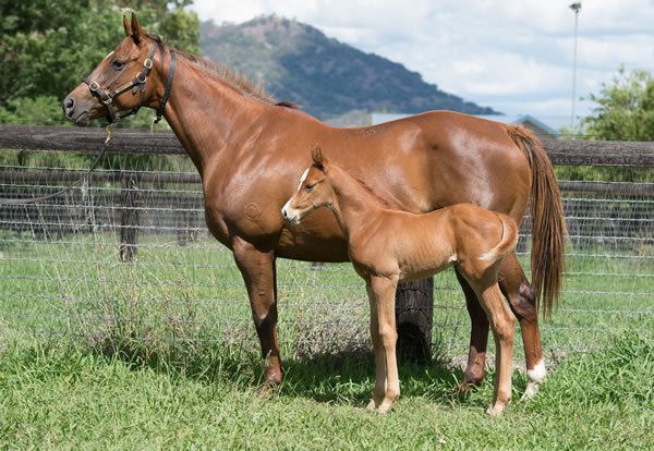 Kim Rieck (@kim_rieck) | Twitter