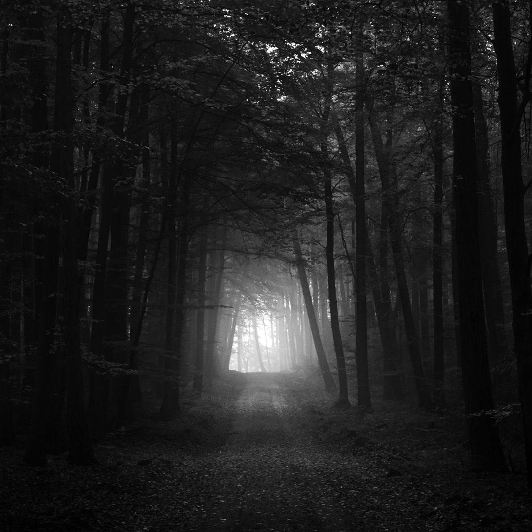 voidedwitch's tweet image. I ʟɪᴠᴇ ᴍʏ ʟɪғᴇ ɪɴ ʙɪᴛᴛᴇʀɴᴇss . . .

❁ — Witch OC [DSP/MV]
❁ — Semi-Selective 
❁ — Literate / Detailed 
❁ — Serious / OOC 
❁ — DMs open for plotting
❁ — RTs appreciated

. . . Aɴᴅ ғɪʟʟ ᴍʏ ʜᴇᴀʀᴛ ᴡɪᴛʜ ᴇᴍᴘᴛɪɴᴇss.