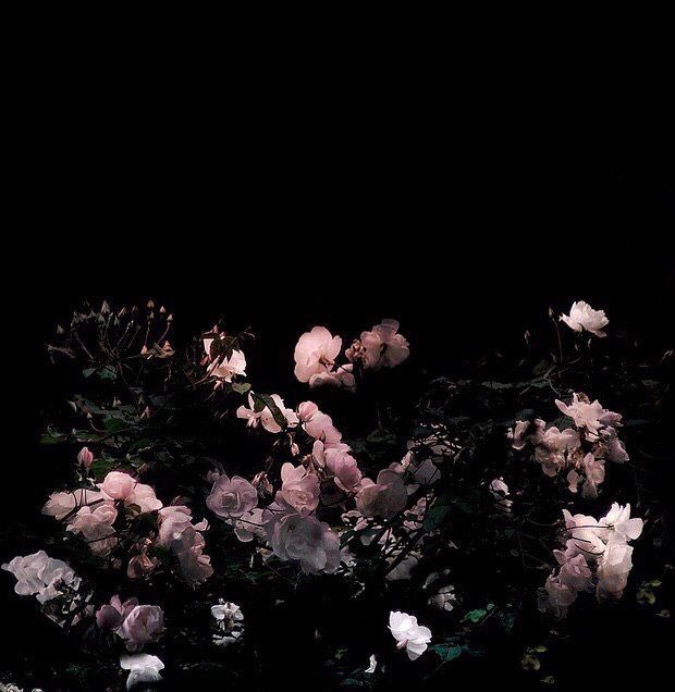 voidedwitch's tweet image. I ʟɪᴠᴇ ᴍʏ ʟɪғᴇ ɪɴ ʙɪᴛᴛᴇʀɴᴇss . . .

❁ — Witch OC [DSP/MV]
❁ — Semi-Selective 
❁ — Literate / Detailed 
❁ — Serious / OOC 
❁ — DMs open for plotting
❁ — RTs appreciated

. . . Aɴᴅ ғɪʟʟ ᴍʏ ʜᴇᴀʀᴛ ᴡɪᴛʜ ᴇᴍᴘᴛɪɴᴇss.