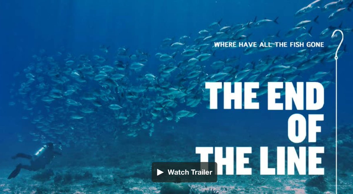 TheEndoftheLine's tweet photo. "We are fighting a war against fish... There will be a point in the future where we will run out”
The End Of The Line is the world's first major documentary about the devastating effect of overfishing. 
Make sure you watch it #BackTheBlueBelt #BluePlanet2 https://t.co/HDpyOVaeoZ https://t.co/v4nt37JtJ9