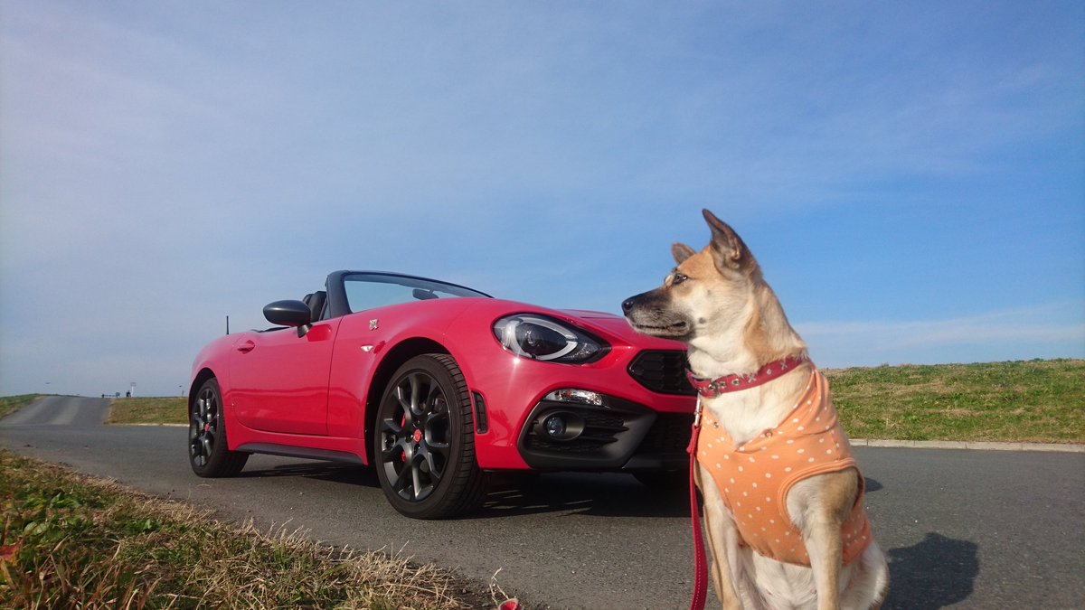 犬バカライダー Gsr 冬が本番 犬とオープンカー 相棒アバルト 124spider